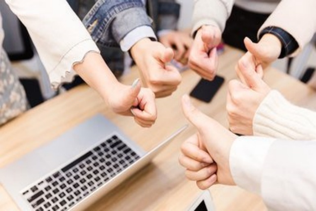 Team and services